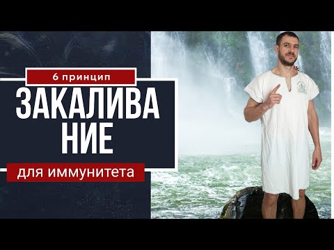Видео: 6 принцип для иммунитета Закаливание#здоровье #закаливаниехолоднойводой #иммунитет
