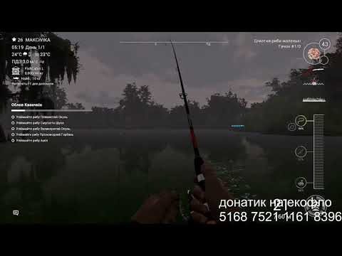 Видео: ловись рибко маленька, ловись рибко велика.  Підписка о