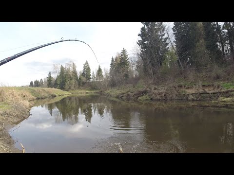 Видео: Спиннинг на МАЛОЙ РЕКЕ весной! Ловля ЩУКИ в МАЕ! Рыбалка на спиннинг, воблеры, джиг!