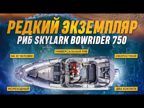 Видео: Редкий экземпляр. Риб SKYLARK Bowrider 750