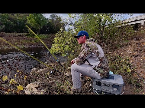 Видео: Я поймал ужин в придорожном ручье!!! (ловля на живца)