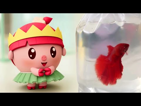 Видео: Золотая рыбка 🐠 — НОВАЯ СЕРИЯ — Малышарики идут в детский сад — Серия 271 | Мультики для детей