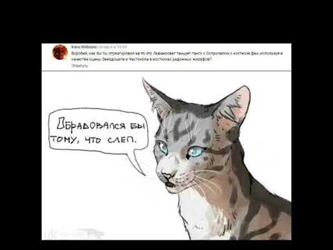 Видео: Озвучка приколов по КВ!//Warrior cats/Ice Mane KB ♥️♥️♥️//*