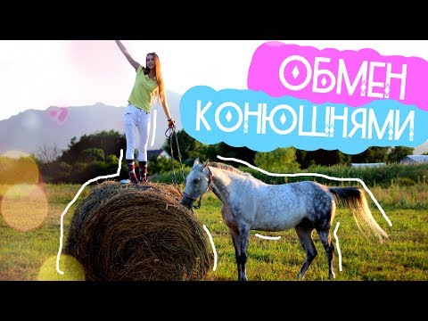 Видео: ОБМЕН КОНЮШНЯМИ | Уехала за 2600 км | У Алисы и Медеи