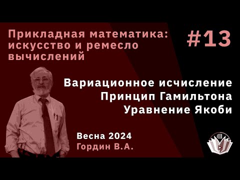 Видео: Прикладная математика: искусство и ремесло вычислений 13. Вариационное исчисление, принцип Гамильтон