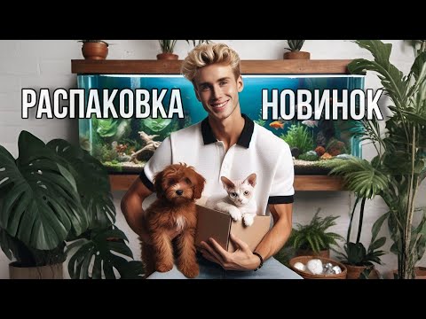 Видео: НОВИНКИ РАСТЕНИЙ 🎁/ РЕДКИЕ КЛУБНИ АЛОКАЗИЙ / КАК ИЗМЕНИЛИСЬ ЦВЕТЫ НА БАЛКОНЕ / МОЙ АКВАРИУМ ЗАРОС 😝🙊