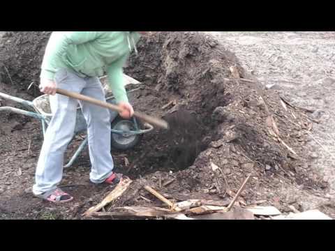 Видео: (31)Соседи перенимают опыт.