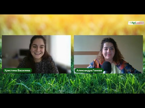 Видео: Имат ли справедливо подпомагане зеленчукопроизводителите? - AgriПодкаст Епизод 57