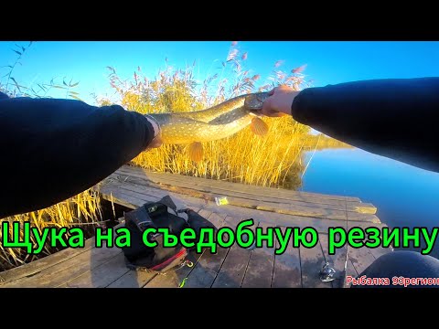 Видео: Ловля щуки осенью на резину!