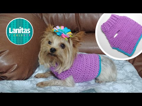 Видео: Свитер или Джемпер для домашних животных связан крючком | простая схема вязания крючком собачки