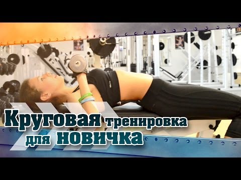 Видео: Круговая тренировка для НОВИЧКА. Укрепляем тело!