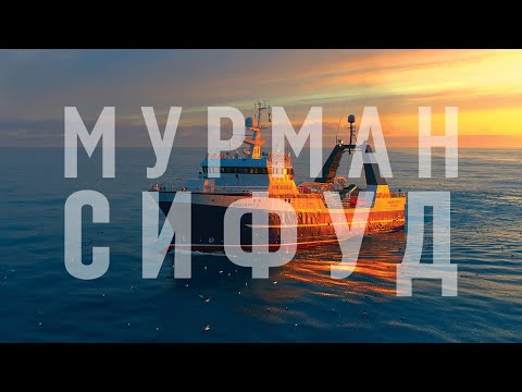 Видео: Мурман СиФуд