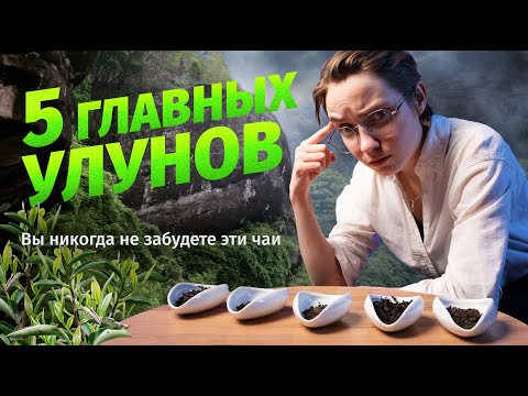 Видео: Чай, который вы никогда не забудете: ТОП-5 улунов!