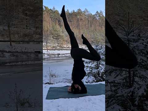 Видео: 21 января 2024 г.