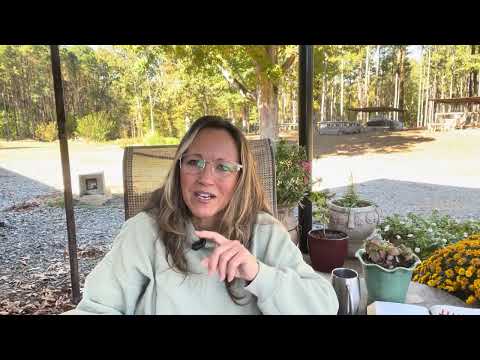 Видео: Где МЫ оказываемся?