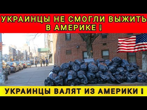 Видео: ЗАКРЕПИТСЯ В АМЕРИКЕ НЕ ПОЛУЧАЕТСЯ ❗