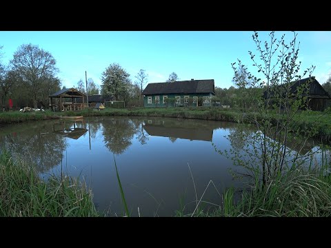 Видео: БРОСИЛ ВСЕ , УЕХАЛ в ЛЕС, ЖИВУ ОДИН. ЕДА ПОД НОГАМИ, ПЕРЕХОЖУ на ПОДНОЖНЫЙ КОРМ. №252