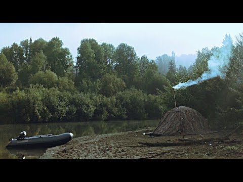 Видео: ОТНИМАЮ ШИШКИ У МЕДВЕДЯ который ЛОСЯ СОЖРАЛ.