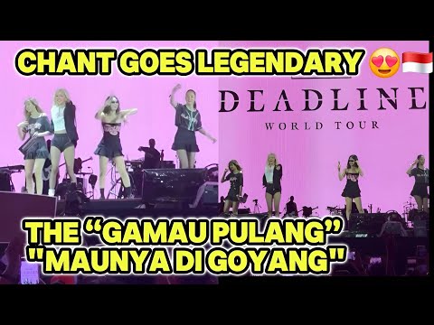 Видео: BLACKPINK не хотели идти домой?! Их забавная реакция на вирусную кричалку Джакарты! 😍