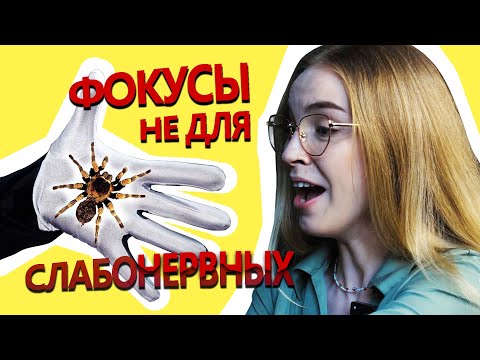 Видео: До ЖУТИ эффектные ФОКУСЫ!