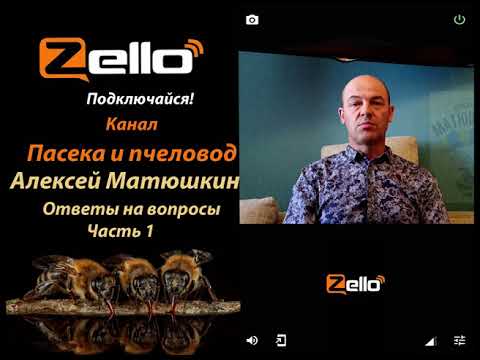 Видео: Алексей Матюшкин - Ответы на вопросы часть1, канал Пасека и пчеловод, рация Zello.