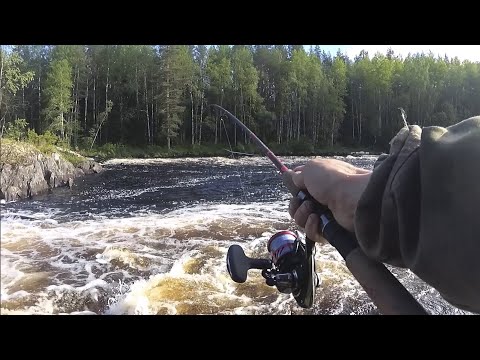 Видео: На рыбалке 4