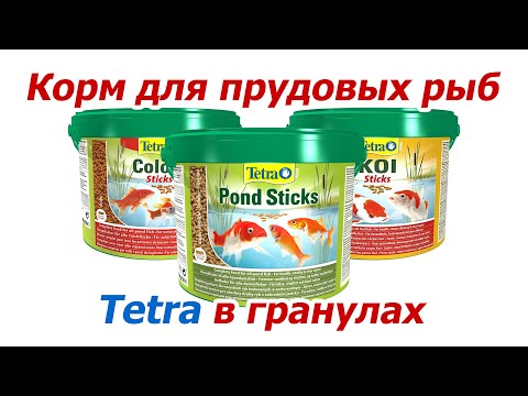 Видео: Что нужно знать о кормлении прудовых рыб кормом Tetra