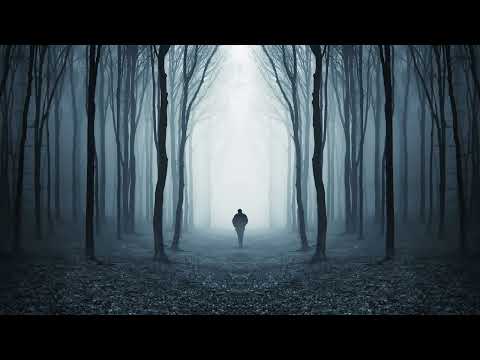 Видео: Тишина