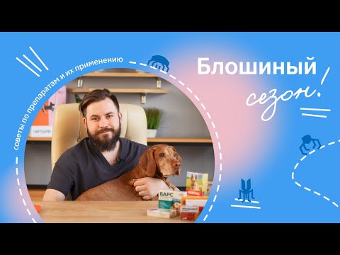 Видео: Обработка питомца от блох, клещей и гельминтов.