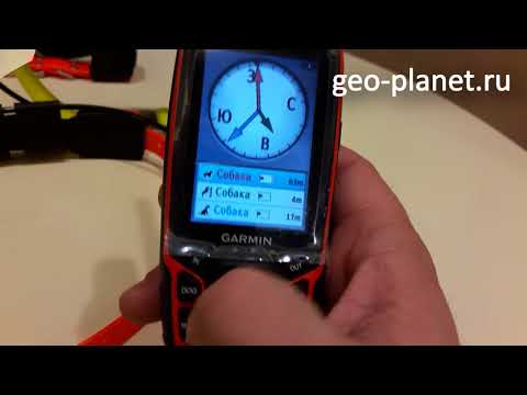 Видео: Garmin Astro 320 с прошивкой 4.50 и ошейниками T5/TT15