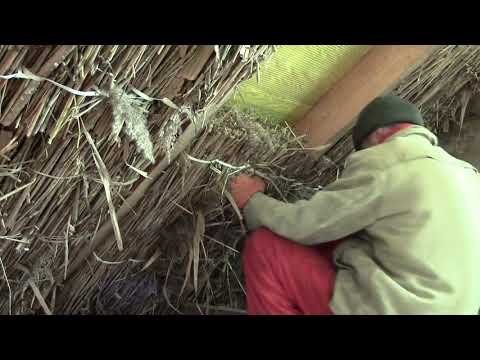 Видео: Утепляю крышу камышовыми матами