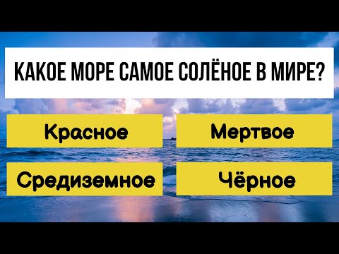 Видео: Вы уверены, что ваш КРУГОЗОР шире, чем у ГЕНИЯ? Тест на эрудицию!