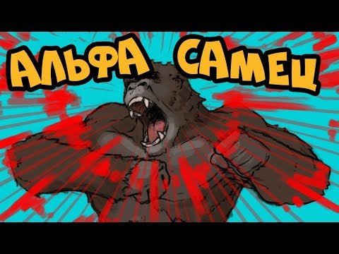 Видео: Как Стать АЛЬФА-САМЦОМ (2 Шага к Доминантной Личности)
