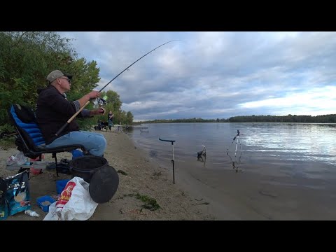 Видео: 🐳ДНІПРО ПЛОТВА🐳 ВЕЧІРНЯ 🎣РИБОЛОВЛЯ 2025🇺🇦