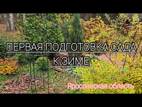 Видео: ЧТО МОЖНО СДЕЛАТЬ ДО ХОЛОДОВ В САДУ?