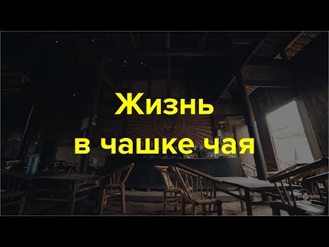 Видео: Жизнь в чашке чая [русский перевод]