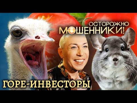 Видео: Горе-инвесторы. Осторожно, мошенники! | Центральное телевидение