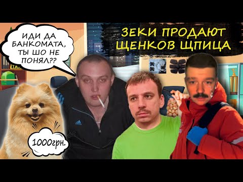Видео: Гнусавый мошенник продает щенков Щпица за 1000 грн. Зеки продают собаку.
