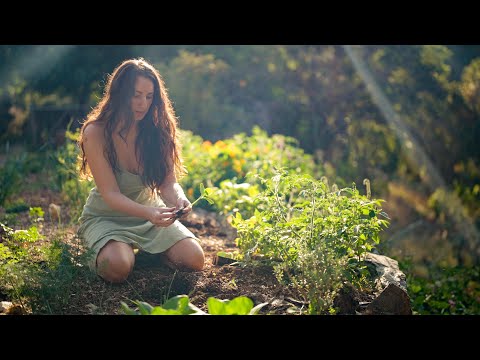 Видео: Весенний урожай: готовлю из того, что даёт мне мой сад