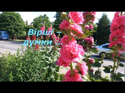 Видео: Вірші   думки ...