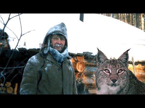 Видео: 🐱 / Он спас РЫСЁНКА от голодной смерти, а через год МАЛЫШ отплатил ему тем-же!/