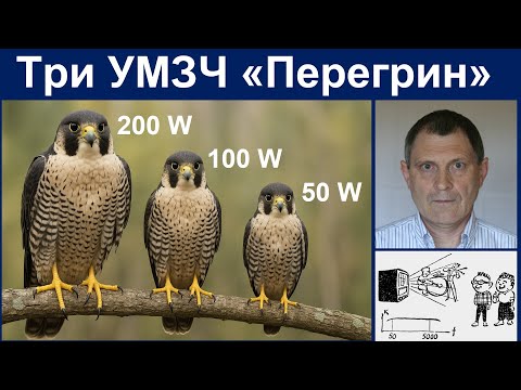 Видео: Три Перегрина