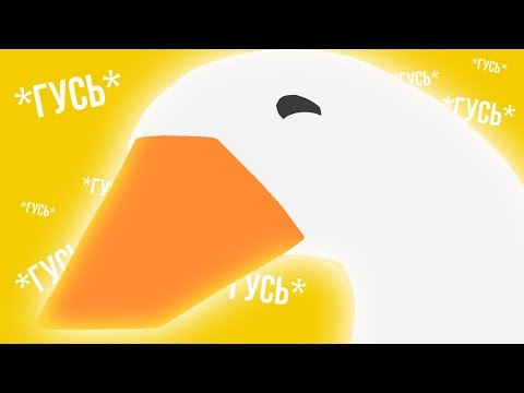 Видео: тяжелая жизн гуся
