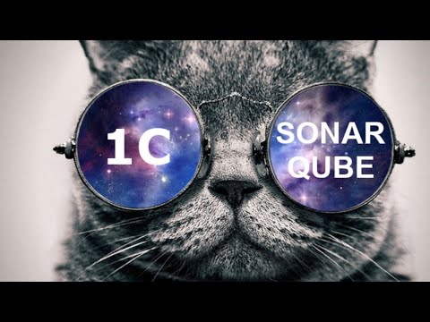 Видео: Обсуждение SonarQube, 1C (BSL) Plugin, OpenSource