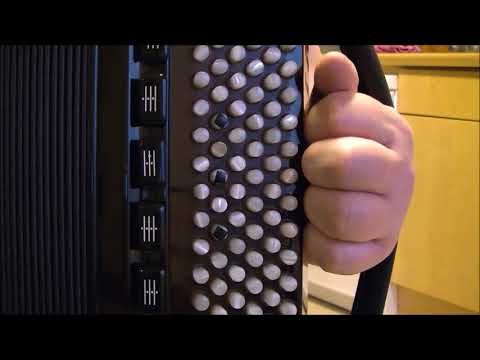 Видео: РАЗБОР на баяне ПУСТЬ БЕГУТ НЕУКЛЮЖЕ с текстом ( ПЕСНЯ КРОКОДИЛА ГЕНЫ )