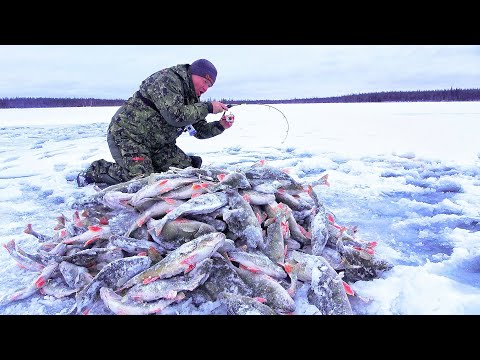 Видео: ПЕРВЫЙ ЛЁД 2023-24г! ЭТО КАКОЙ-ТО ДИКИЙ ЖОР!!! ДИНОЗАВРЫ ПРУТ КАК ДУРНЫЕ!