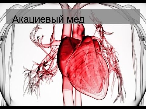 Видео: Акациевый мед