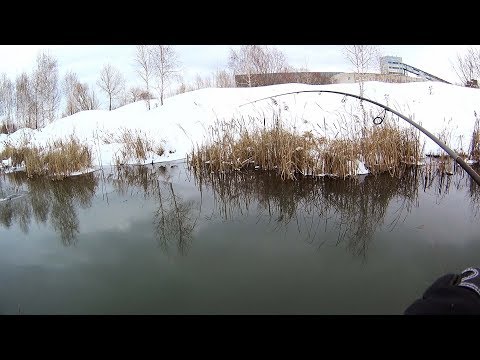 Видео: ЧТО ВЫБЕРЕТ ЩУКА. Эксперимент с приманками, воблеры и блесна . Спиннинг зимой
