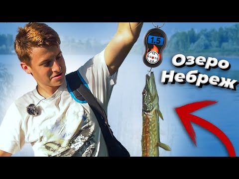 Видео: Поймали Щуку на озере Небреж | Рыбалка озеро Небреж  | Спиннинг на Небреже