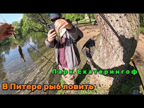 Видео: В Питере рыб ловить. Мормышинг в парке Екатерингоф. Таракановка, Екатерингофка, Бумажный каналL